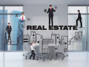 Real Estate Consultants